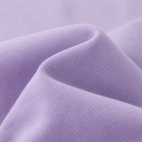Lavender Haze Oversized Drop Shoulder T-Shirt